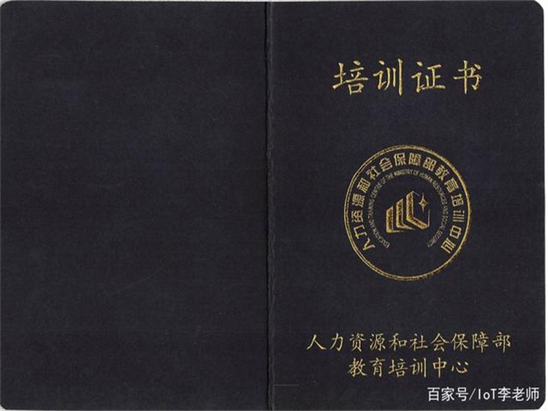 证件照片拍摄与排版的注意事项